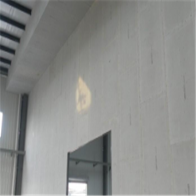 洪洞新型建筑材料掺多种工业废渣的ALC|ACC|FPS模块板材轻质隔墙板